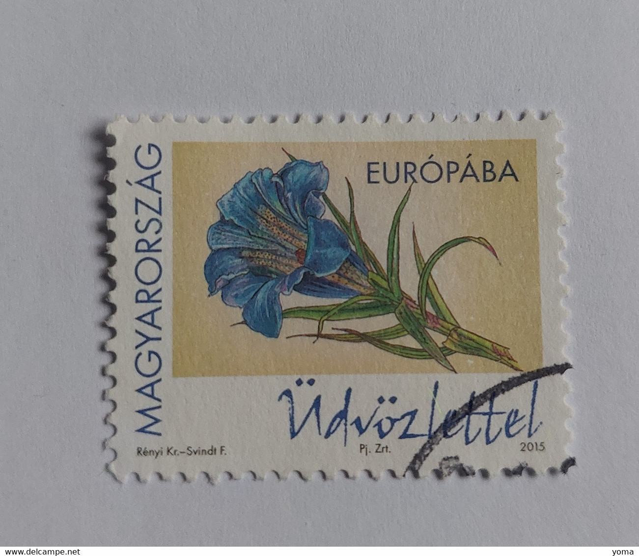 N° 4629       Gentiane De Koch  -  Fleur - Used Stamps