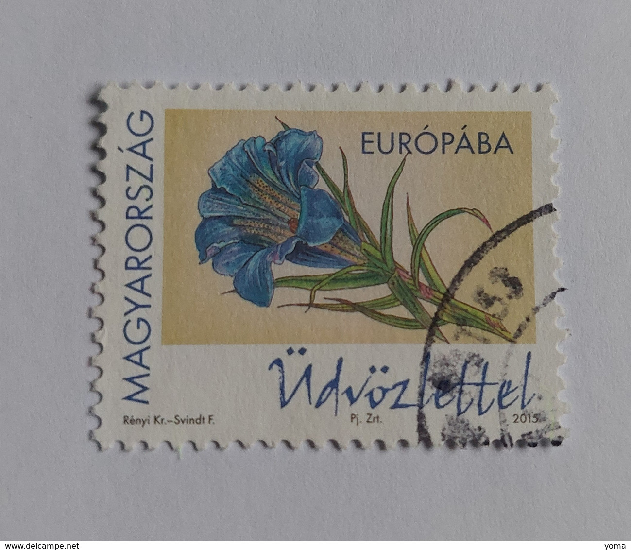 N° 4629       Gentiane De Koch  -  Fleur - Used Stamps