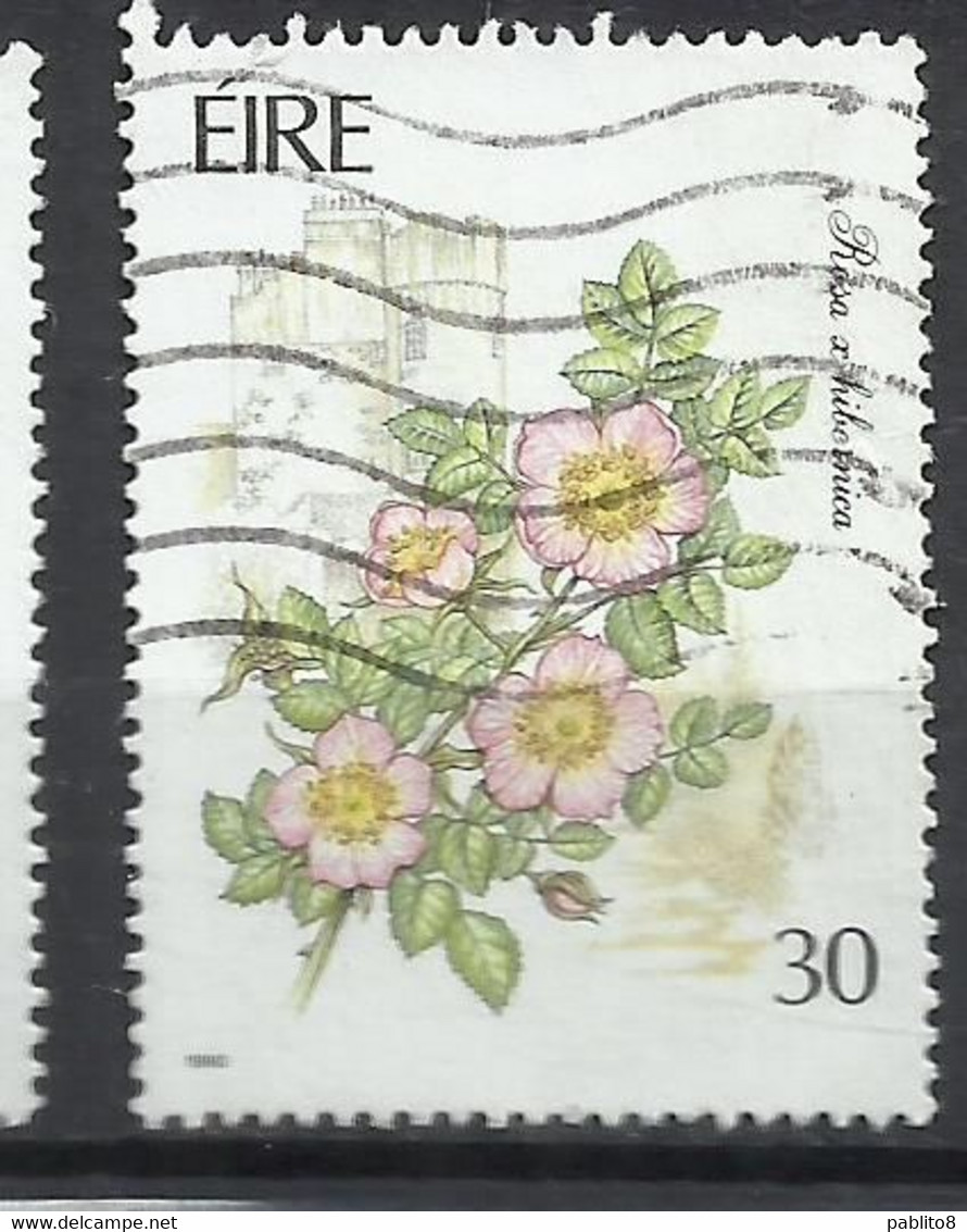 EIRE IRELAND IRLANDA 1990 FLORA GARDEN FLOWERS ROSA X HIBERNICA 30p USED USATO OBLITERE' - Used Stamps