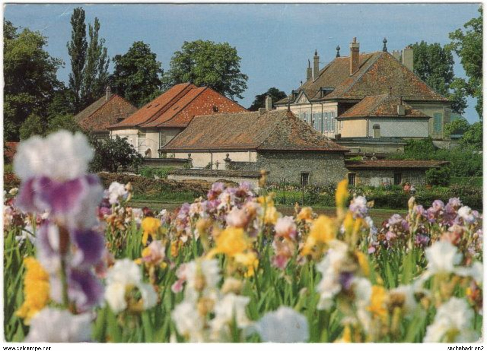 Gf. VULLIERENS. Jardin D'Iris. Château De Vullierens - Vullierens