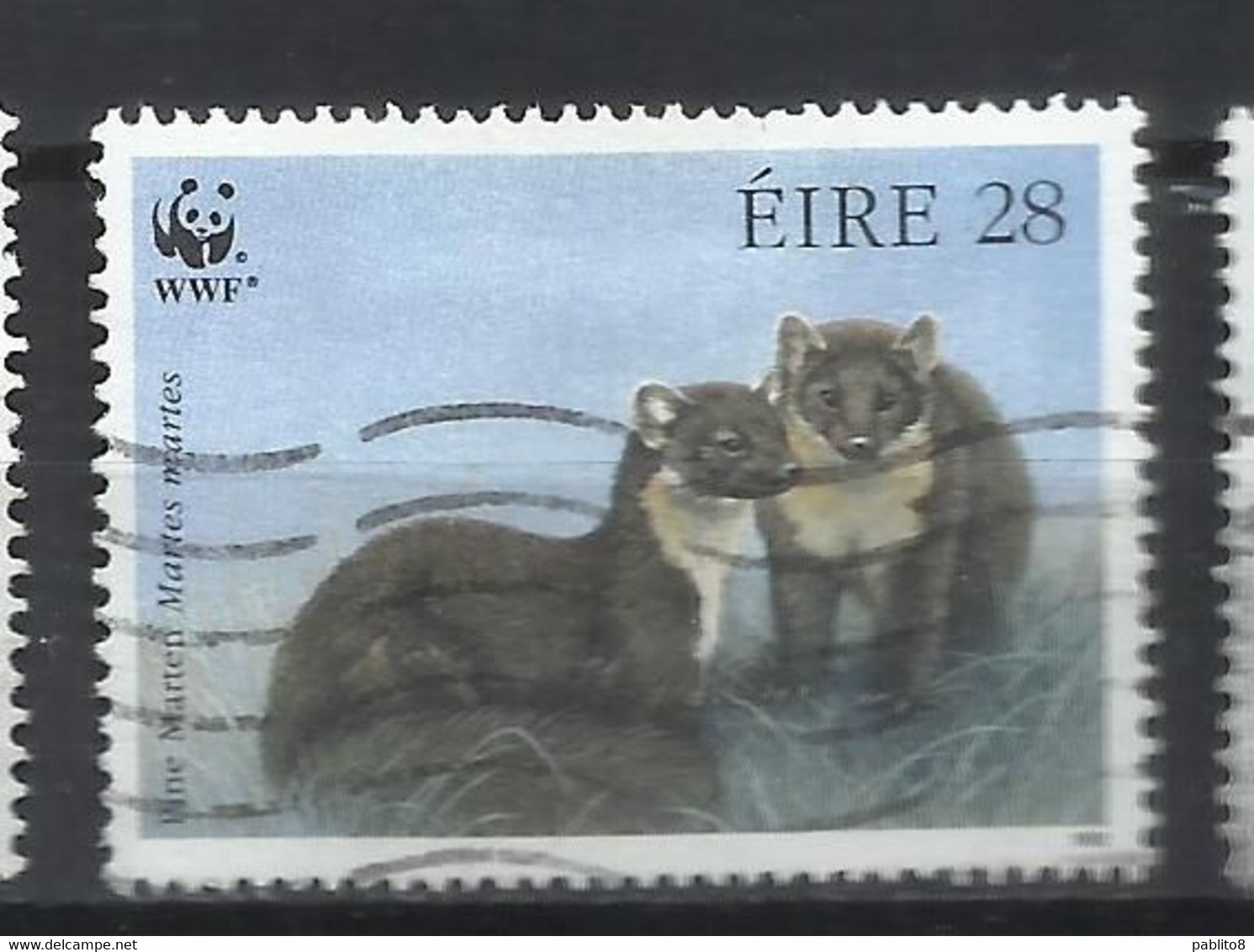 EIRE IRELAND IRLANDA 1992 WWF WORLD WILDLIFE FUND PINE MARTEN 28p USED USATO OBLITERE' - Used Stamps