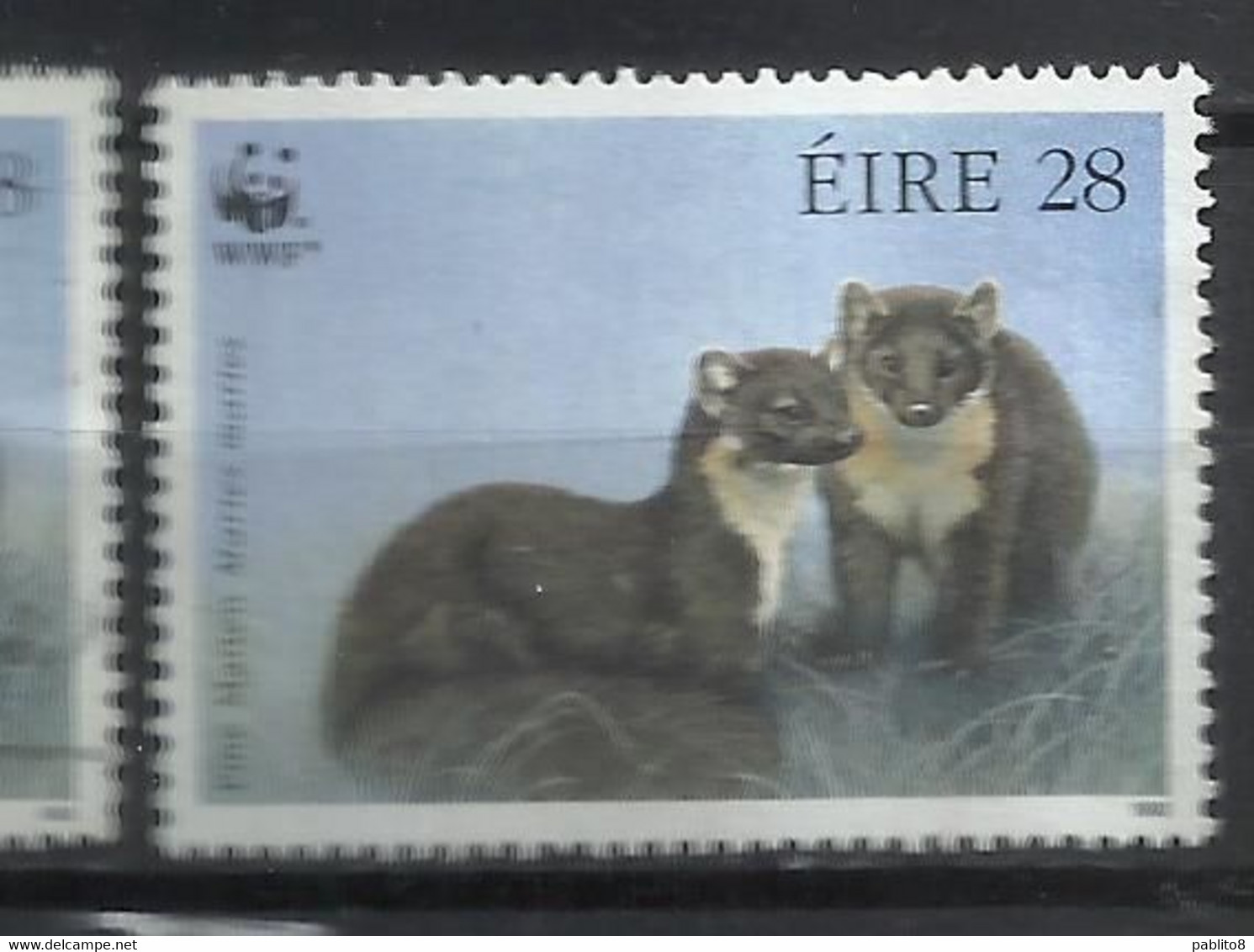 EIRE IRELAND IRLANDA 1992 WWF WORLD WILDLIFE FUND PINE MARTEN 28p USED USATO OBLITERE' - Used Stamps