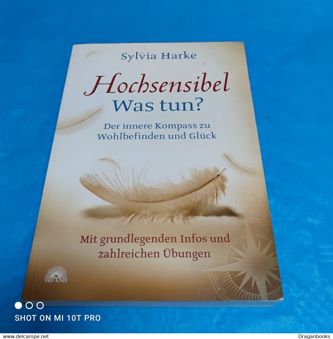 Sylvia Harke - Hochsensibel Was Nun - Psychology