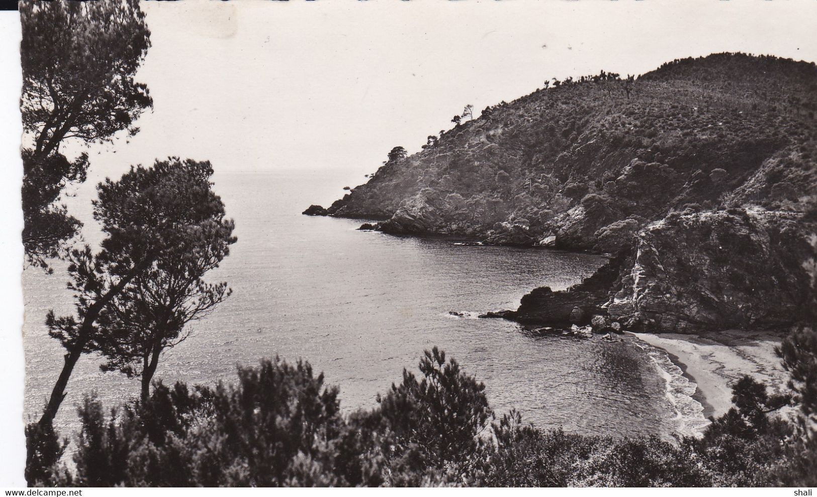 CPSM CAVALAIRE SUR MER PLAGE ET CALANQUE DE BON PORTEAU - Cavalaire-sur-Mer