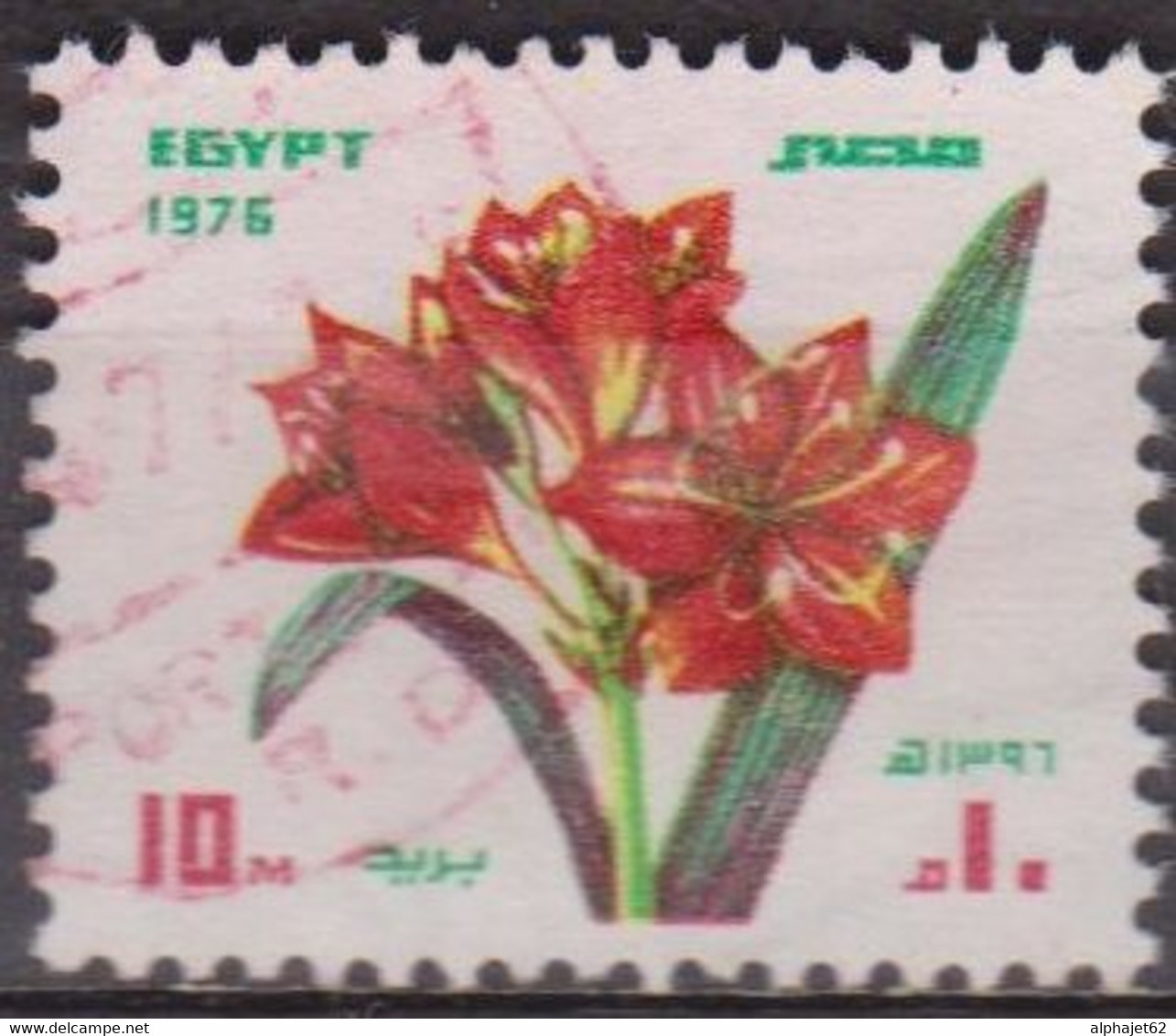 Flore, Fleur - EGYPTE - Amaryllis - N° 1000 - 1976 - Oblitérés