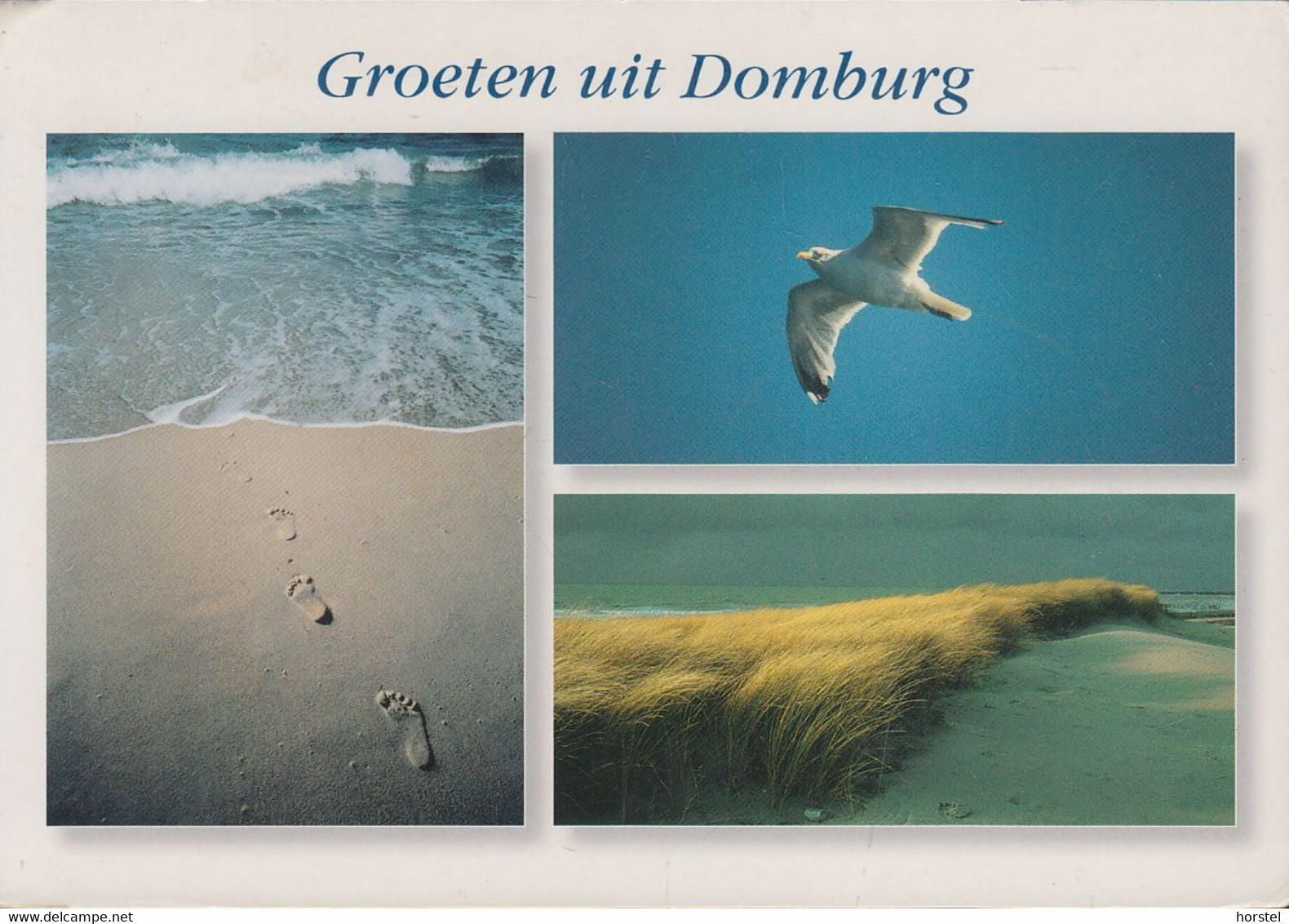 Netherland - Domburg - Groeten - Dove - Nice Stamp - Domburg
