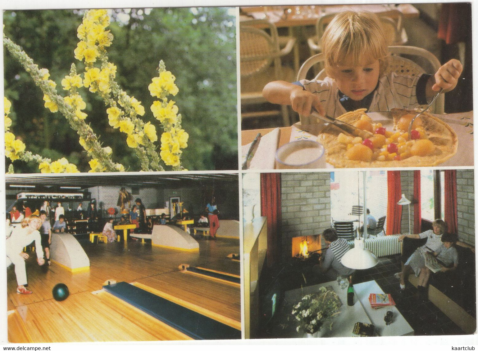 Vendorado Bungalowpark: Loohorst ***** - Peelheideweg 25, America (Gem. Horst) - (Limburg, Nederland) - BOWLING - Horst