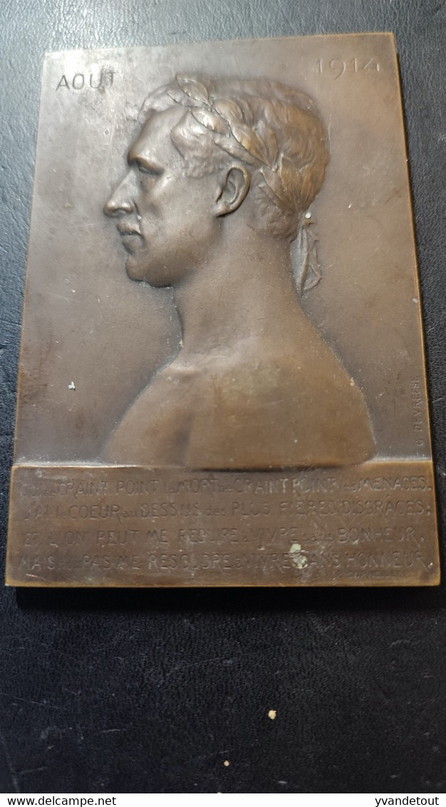 Plaque Métallique Souvenir. 1914.Roi Albert. Médaille De Bronze Par Gérard Devreese - Belgique