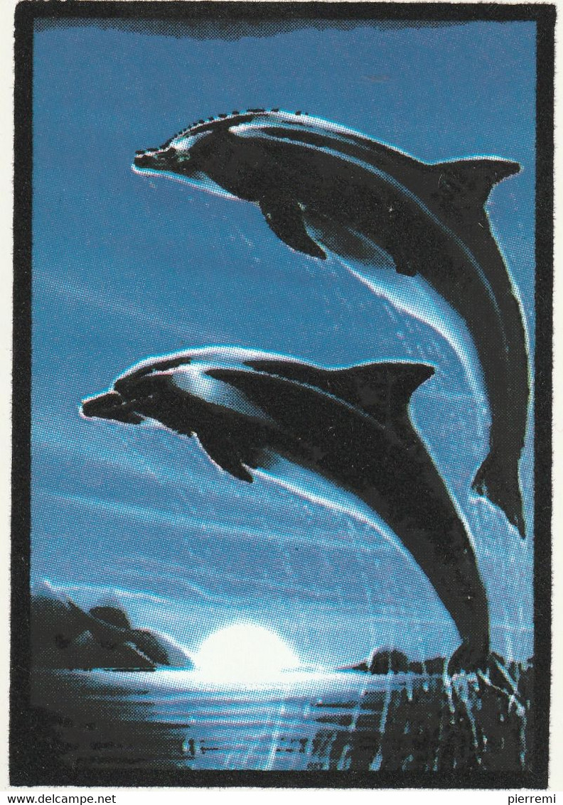 DAUPHINS - Dauphins