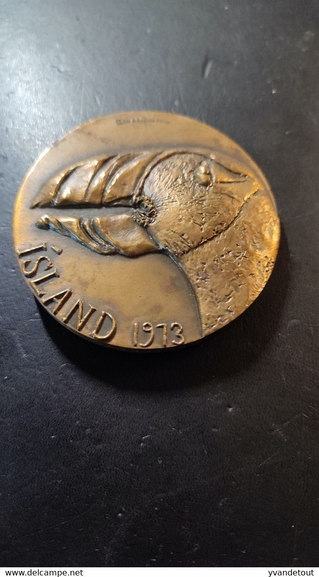 Island - Bronzekunstmedaille (1973) 'Islands Medaljen' V. Eila Hiltunen, Original Etui Gussfrisch. Médaille De Bronze - Oggetti 'Ricordo Di'