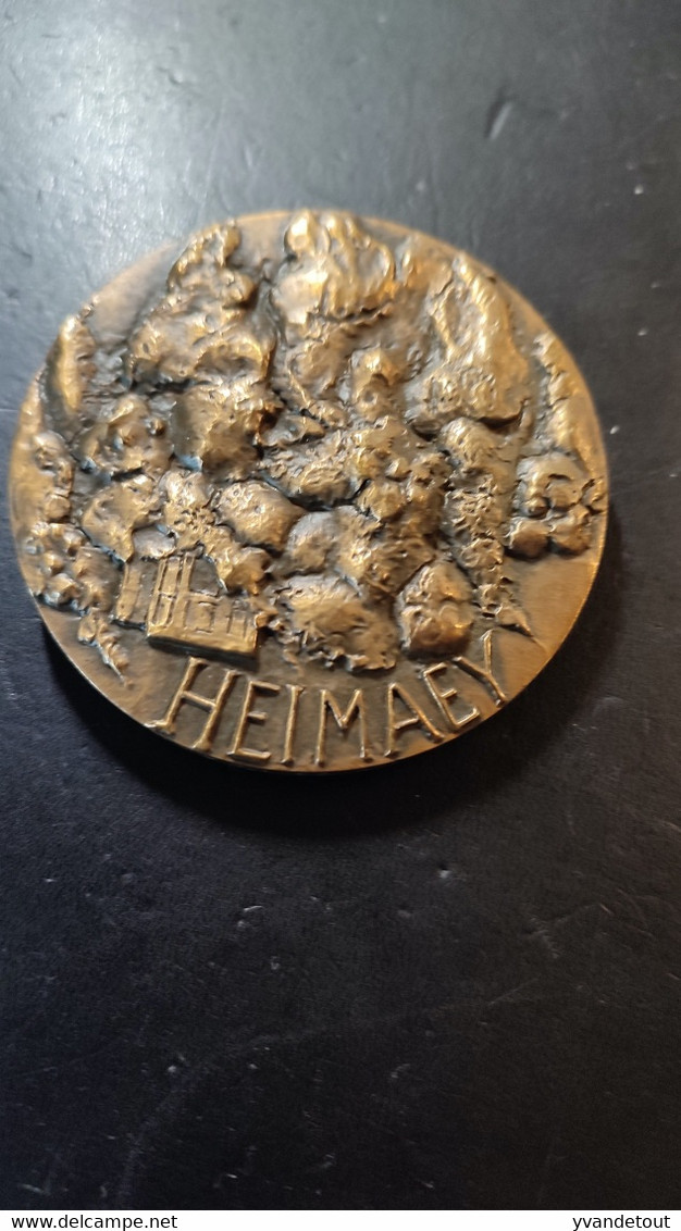 Island - Bronzekunstmedaille (1973) 'Islands Medaljen' V. Eila Hiltunen, Original Etui Gussfrisch. Médaille De Bronze - Oggetti 'Ricordo Di'