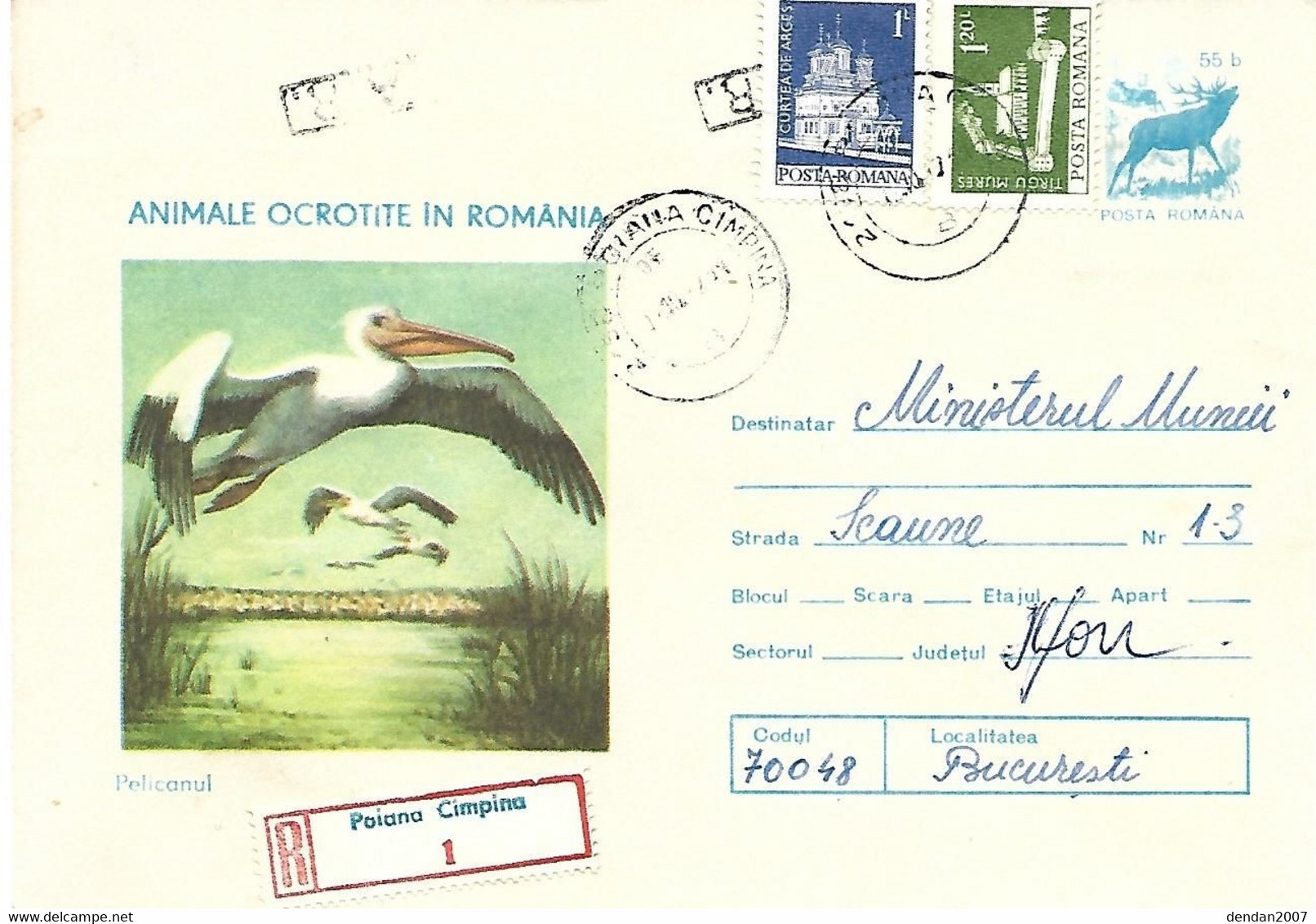 Romania - Postal Stationery 1977 Registered Mail  :    Great White Pelican   - Pelecanus Onocrotalus - Pelikane