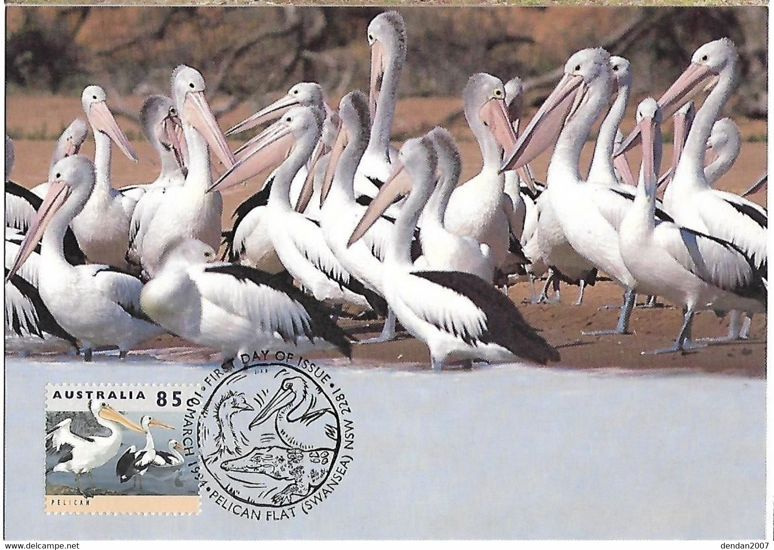 Australia - Postal Stationery And Maximumcard   1994 - Australian Pelican  -  Pelecanus Conspicillatus - Pelicans