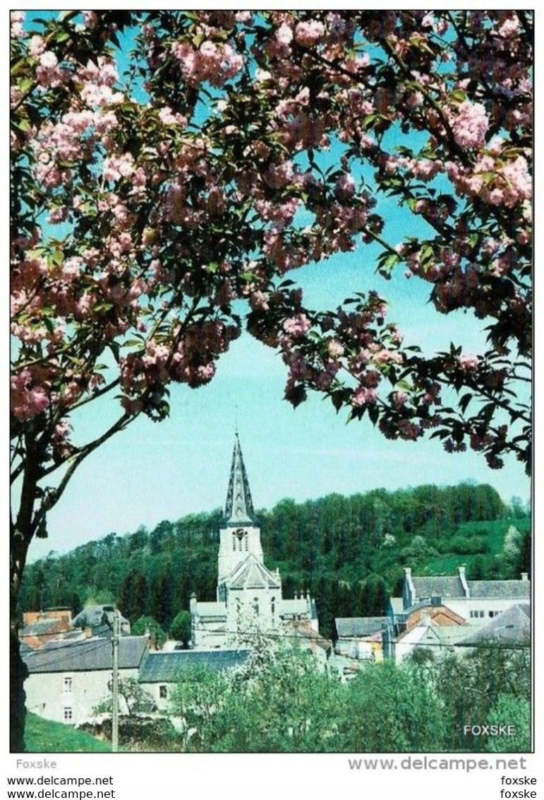 * 2.64 - Cerfontaine - L'Eglise Sint-Lambert - Cerfontaine