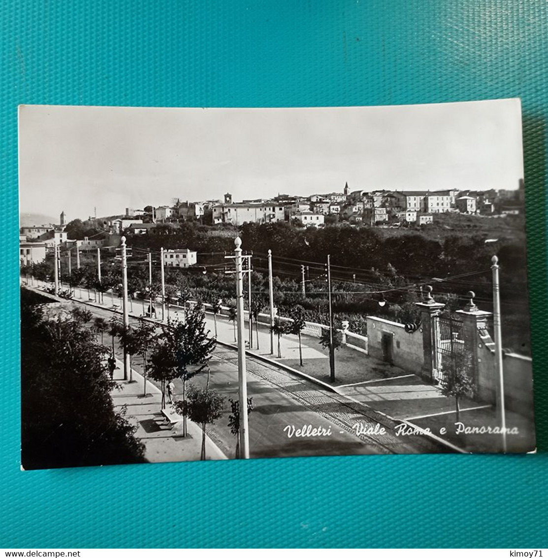 Cartolina Velletri - Viale Roma E Panorama. Viaggiata 1950 - Velletri