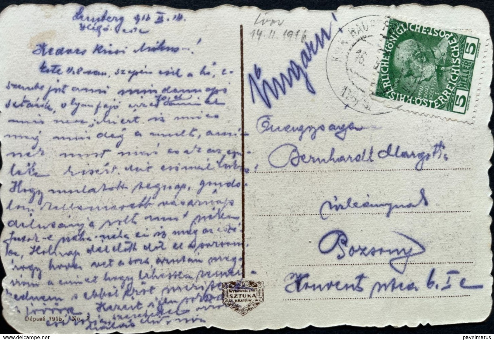 Poland  1916 Feldpost  Austrian Period  Postcard Lwow 14.2.1916 Park Kilinskiego - Lettres & Documents