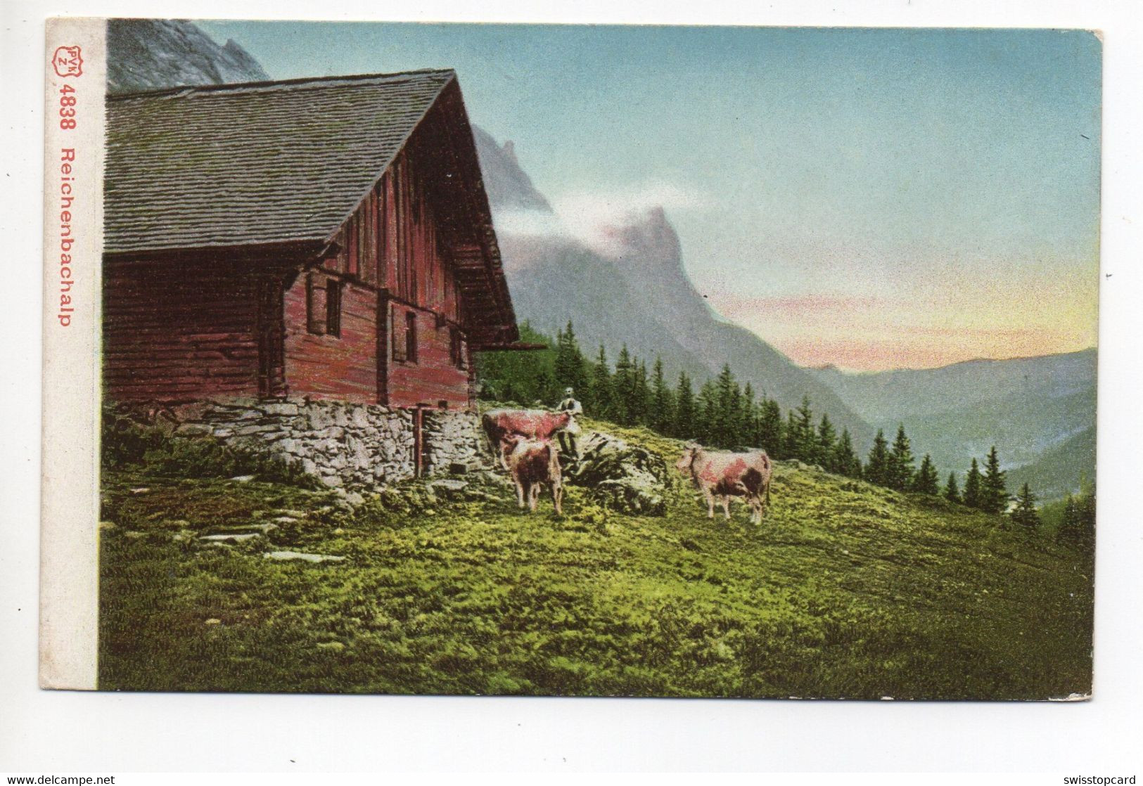 REICHENBACH ALP Bauer Mit Kühen - Reichenbach Im Kandertal