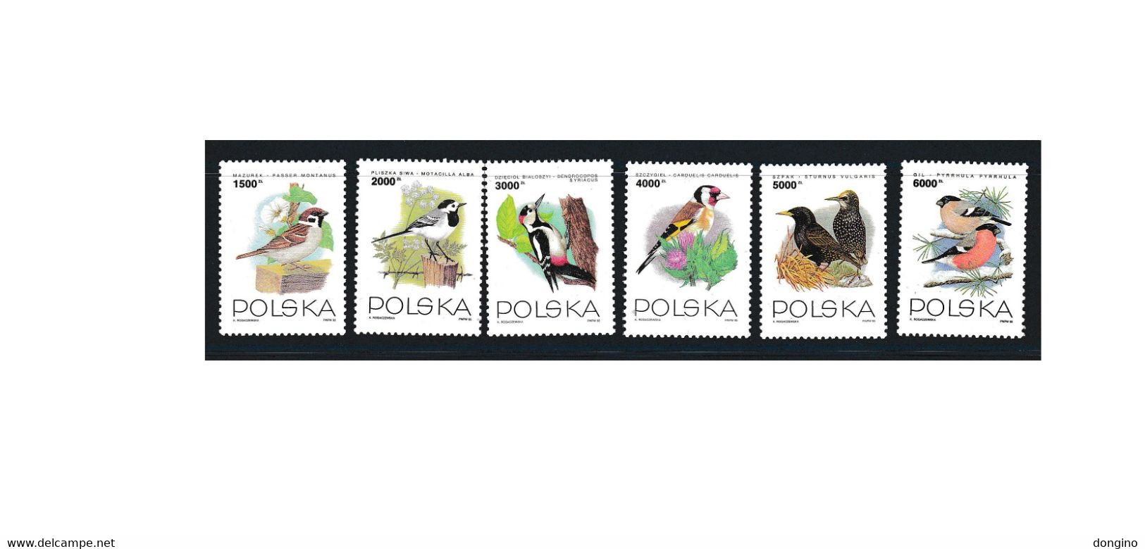 G517. Polska / Poland / Polonia / Pologne / 1993 / Woodpecker / Bullfinch / Birds / Oiseaux - Verzamelingen, Voorwerpen & Reeksen