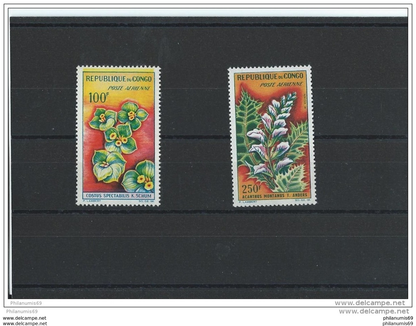 CONGO 1963 - YT PA N° 8/9 NEUF SANS CHARNIERE ** (MNH) GOMME D'ORIGINE LUXE - Neufs