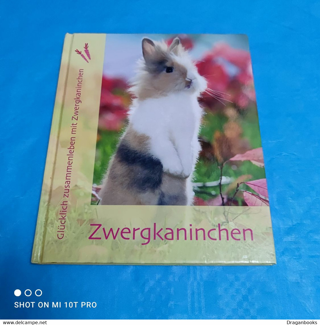 Monika Wegler - Zwergkaninchen - Dieren