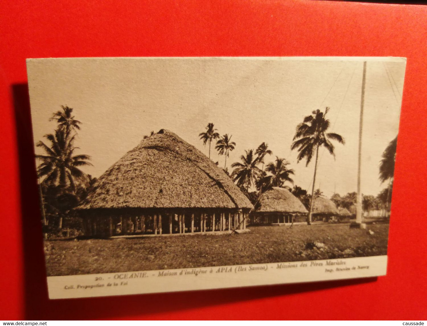 APIA - Maison D'indigène - Samoa
