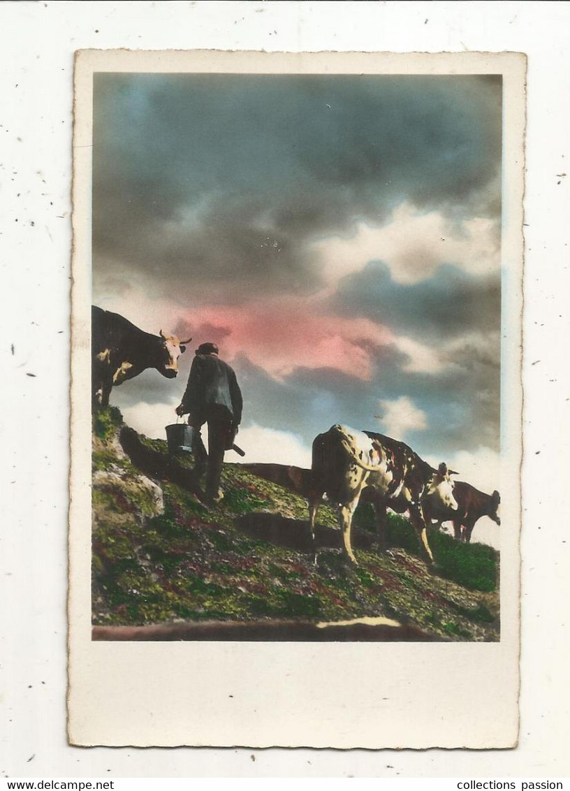 Cp, Agriculture ,élevage , Vaches , Vacher ,  Vierge ,ed. Gani ,n° 1257 - Allevamenti