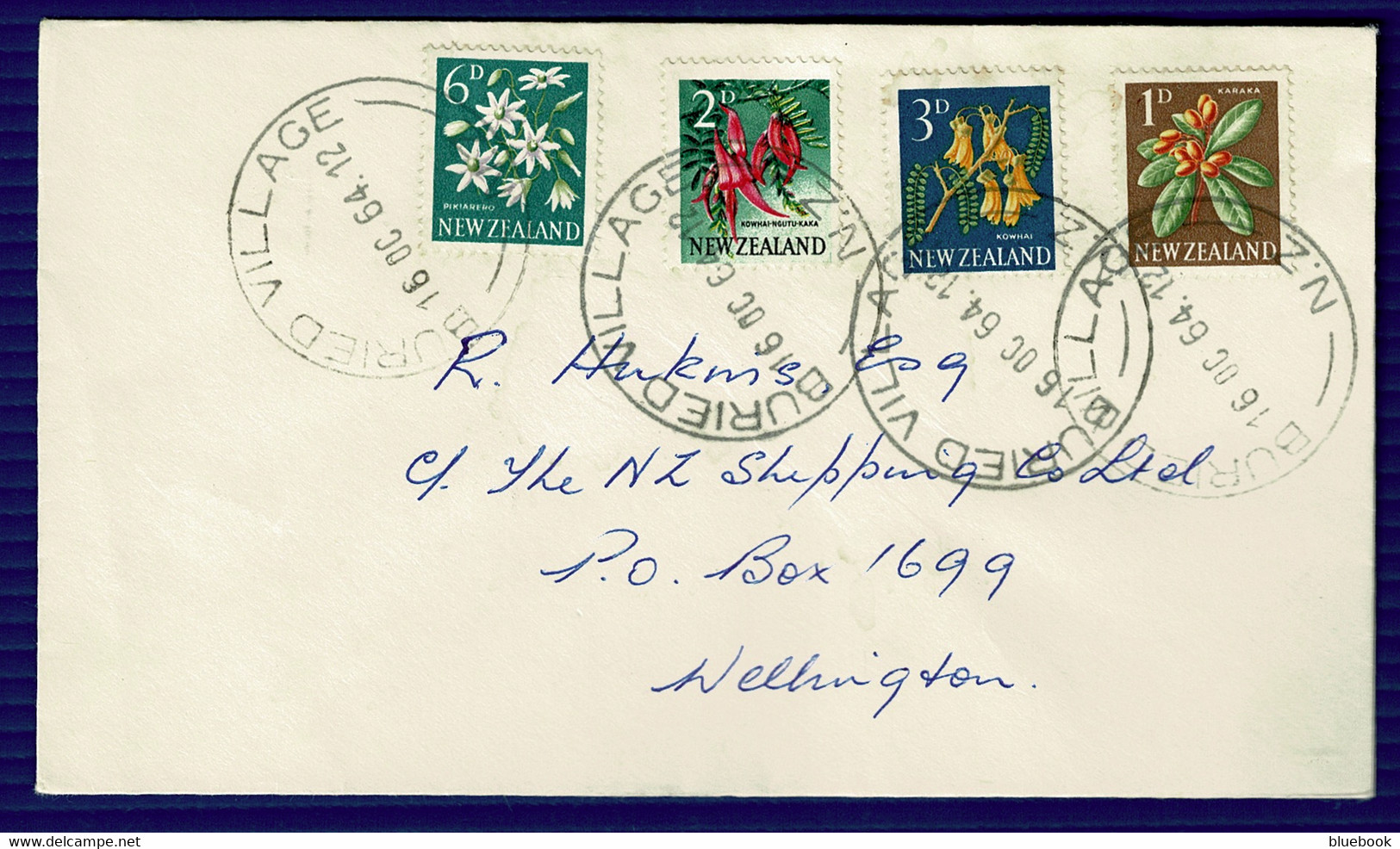 Ref 1581 - New Zealand 1964 Cover - Buried Village Postmark Near Tarawera - Briefe U. Dokumente