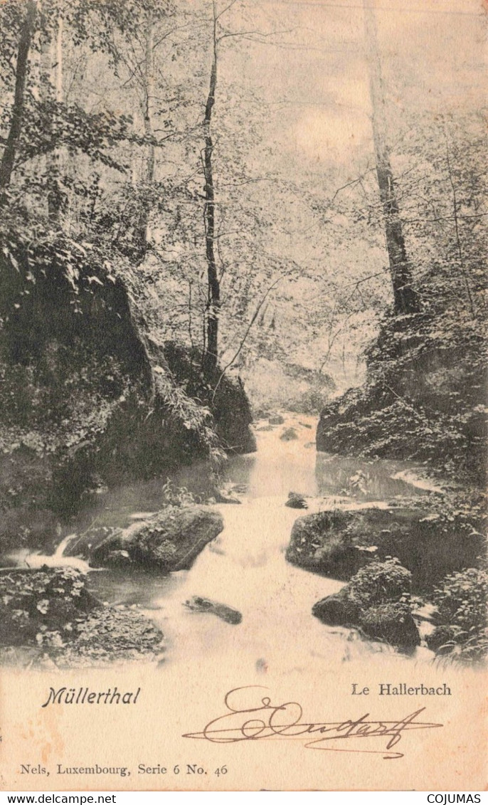 LUXEMBOURG - S05945 - Müllerthal - Le Hallerbach - L1 - Müllerthal