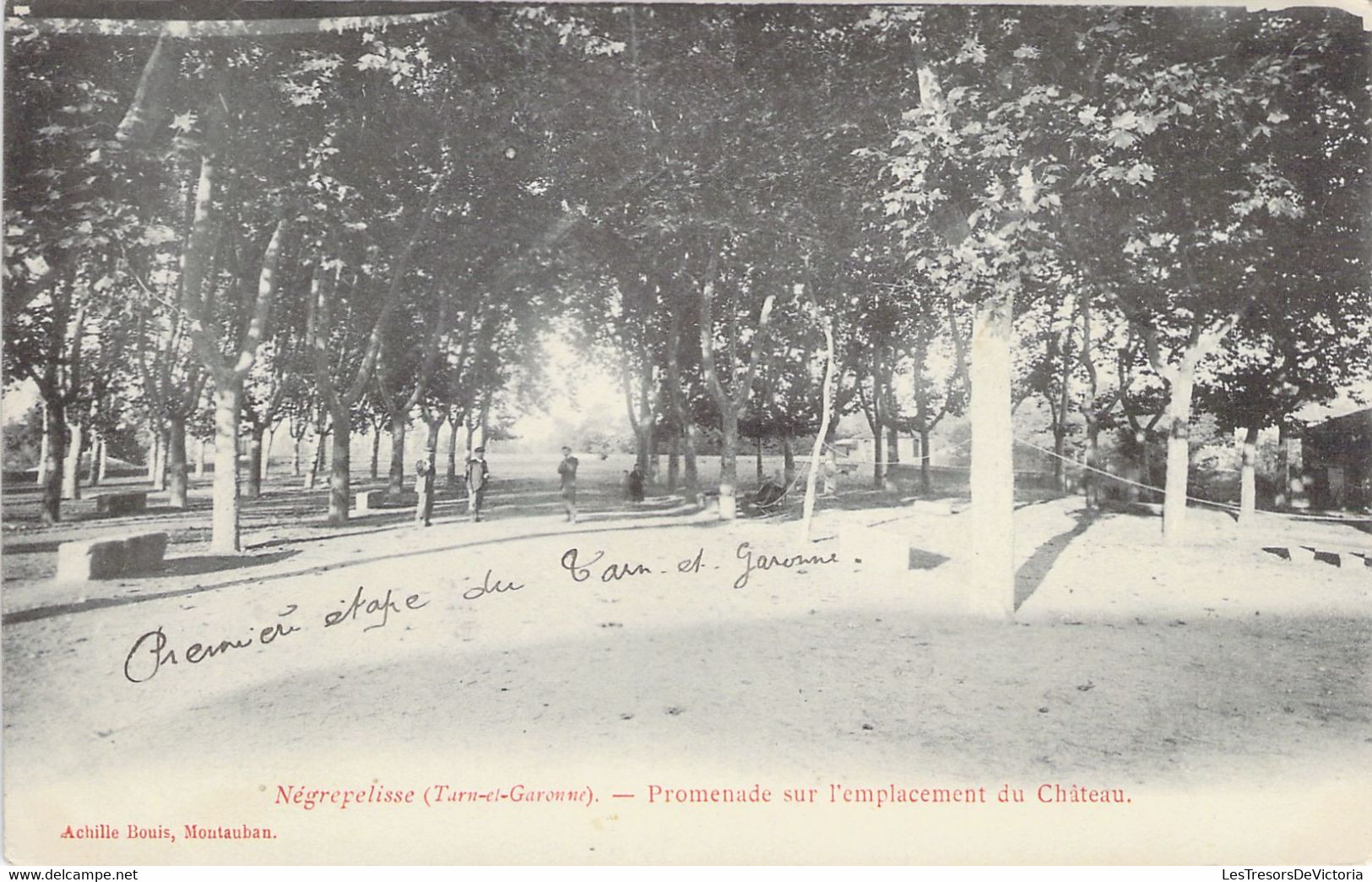 CPA - FRANCE - 82 - NEGREPELISSE - Promenade Sur L'emplacement Du Château - Achille BOUIS Monteauban - Dos ND - Negrepelisse