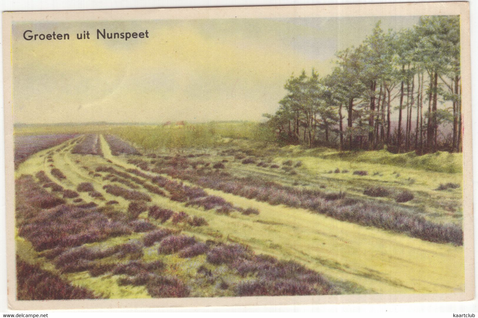 Groeten Uit Nunspeet - (Gelderland, Holland) - 1958 - Nunspeet