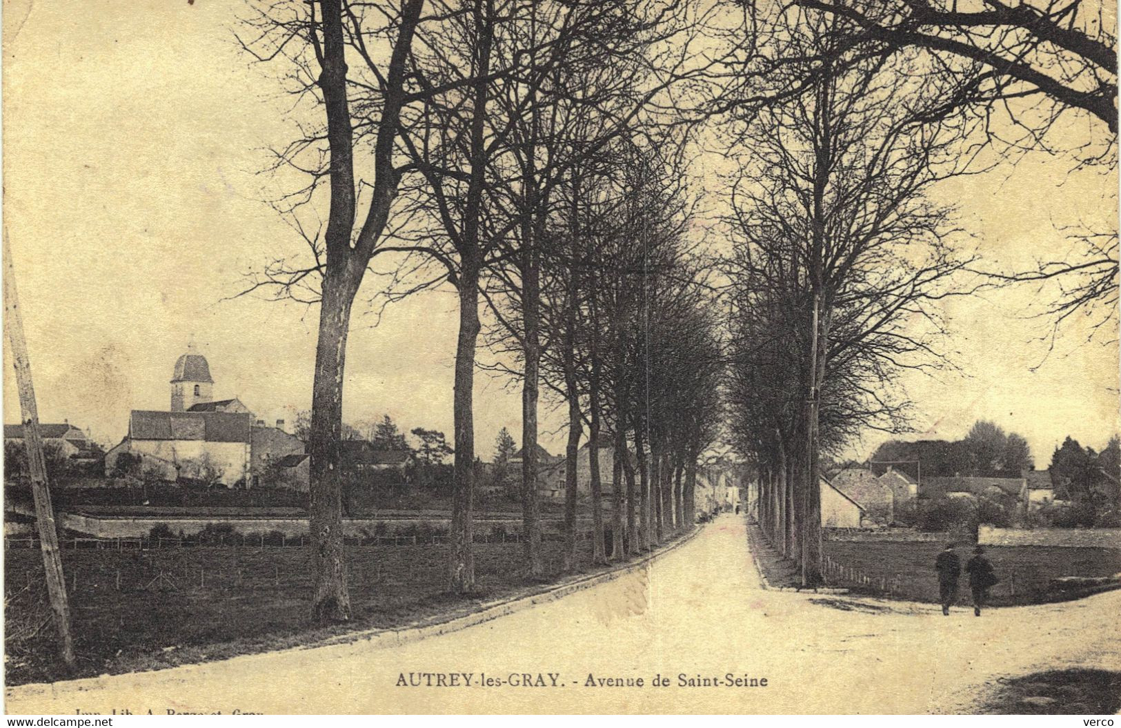 Carte POSTALE  Ancienne De AUTREY Les GRAY - Avenue De St Seine - Autrey-lès-Gray