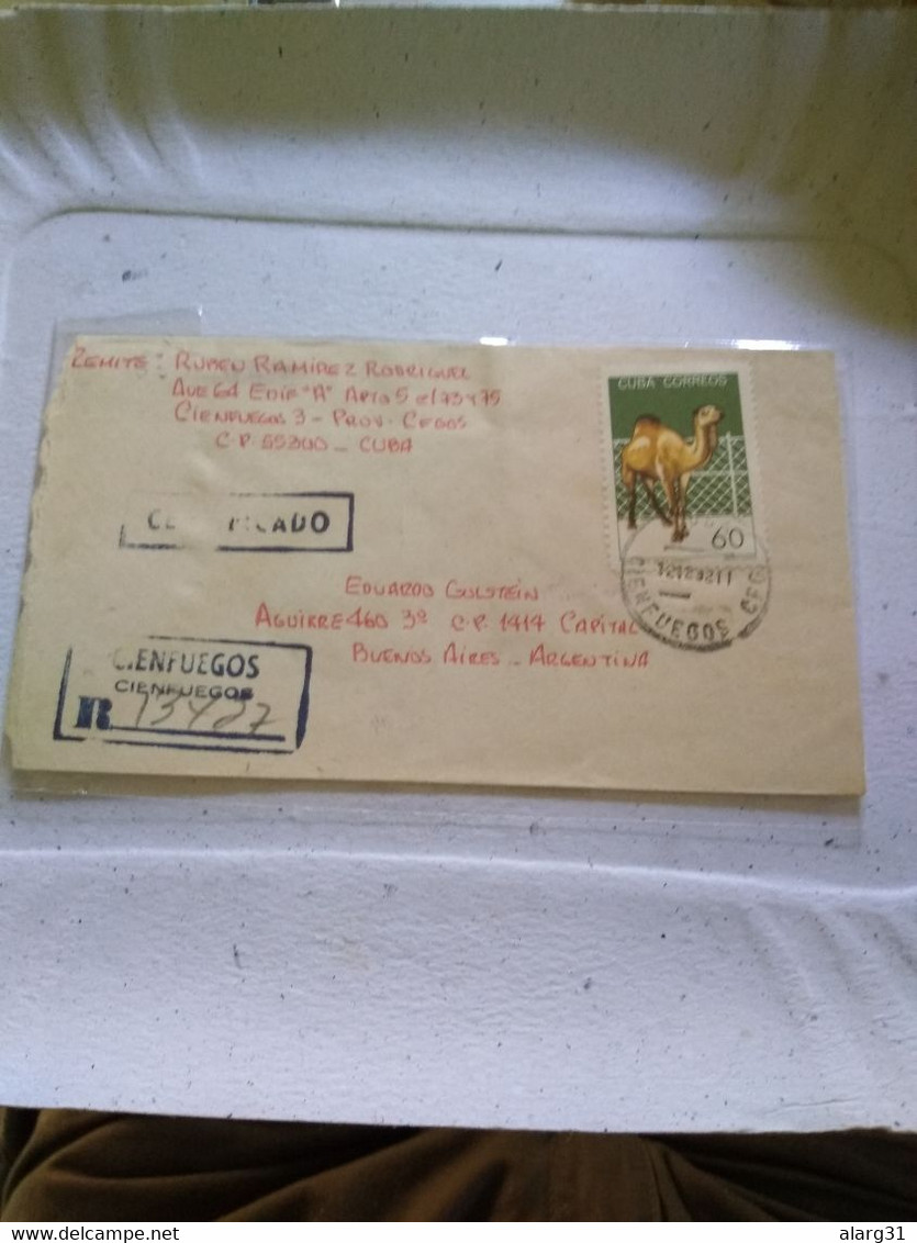 Cuba.argentina.from Cienfuegos Reg Letter Clear Pmks.dromedario Camel Zoo 64  .reg Post E7 Conmems.1 /2 Cover - Lettres & Documents