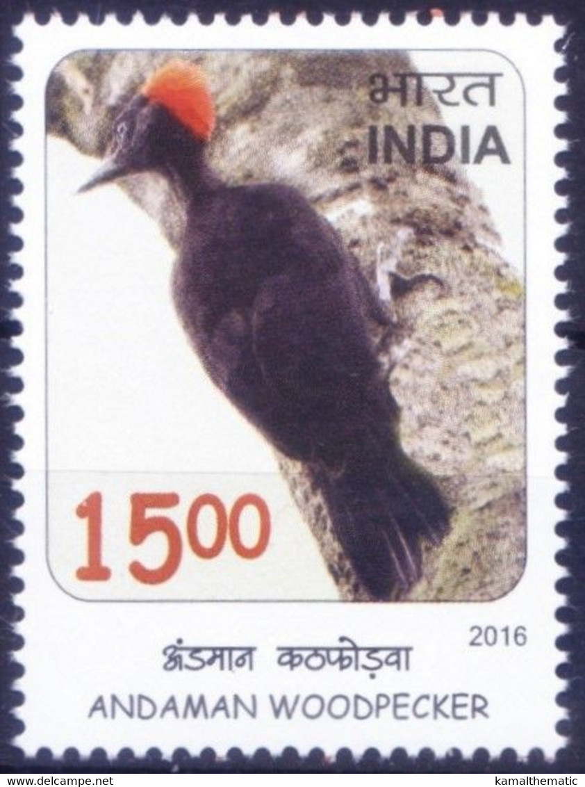 Andaman Woodpecker, Birds, India 2016 MNH - Cuckoos & Turacos