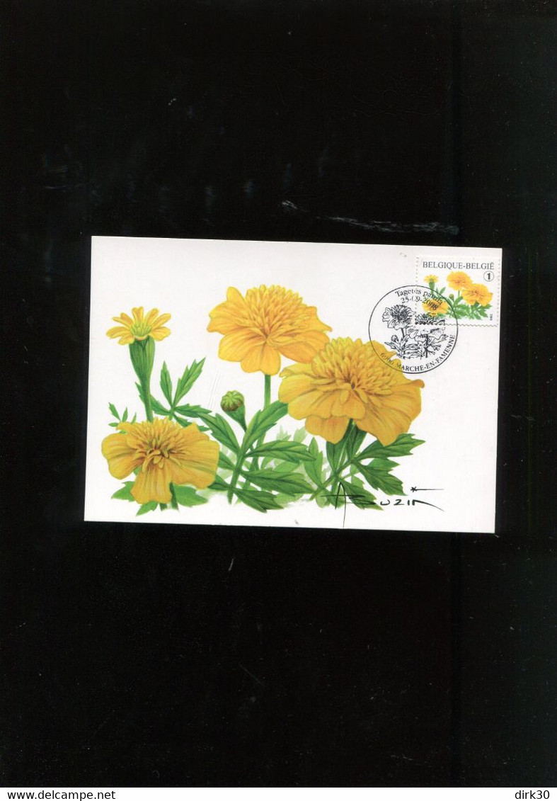 Belgie 3824 Buzin Flowers Maximumkaart Marche-en-Famenne ROLZEGEL - 2001-2010