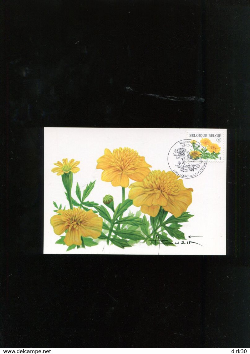 Belgie 3824 Buzin Flowers Maximumkaart Marche-en-Famenne ROLZEGEL - 2001-2010