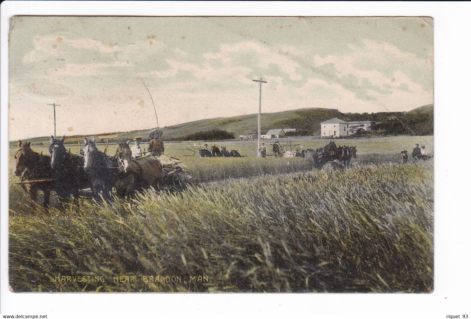 HARVESTING  NEAR  BRANDON, MAN. - Brandon