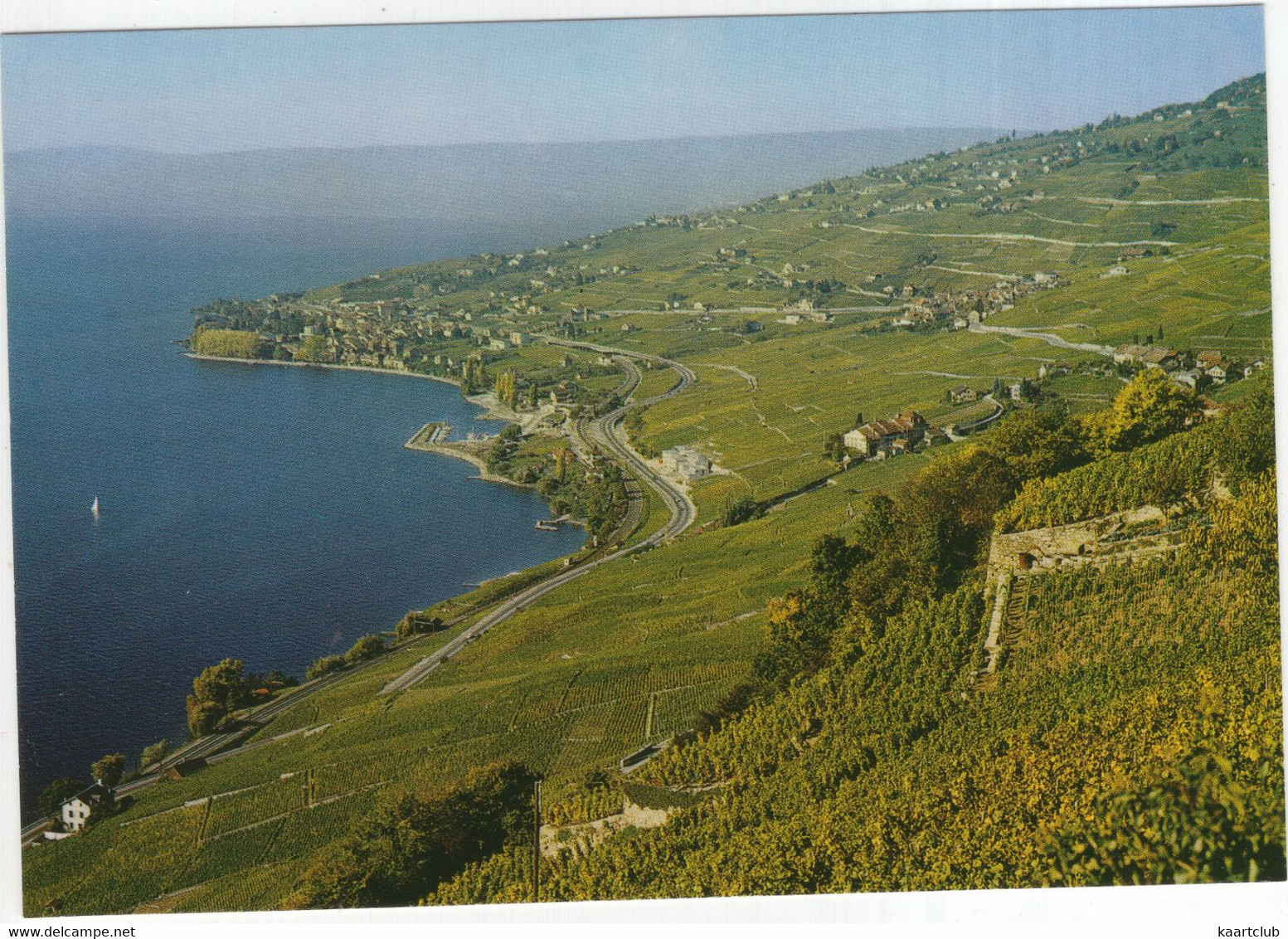 Vignobles De Lavaux (Lac Léman) Cully, Grandvaux, Epesses, Riex - (Schweiz-Suisse-Switzerland) - Cully