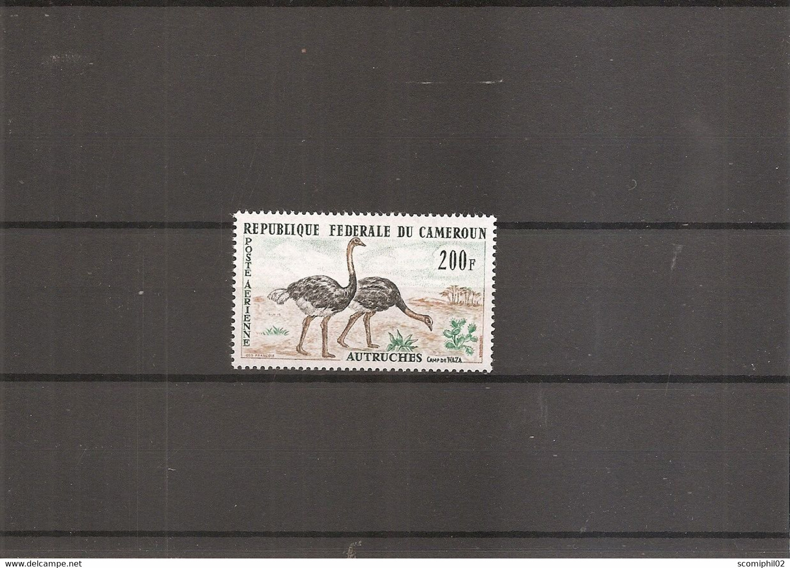 Autruches ( PA 55 XXX -MNH - Du Cameroun ) - Autruches