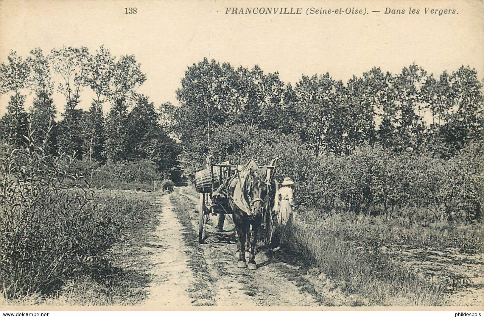 VAL D'OISE  FRANCONVILLE   Dans Les Vergers - Franconville