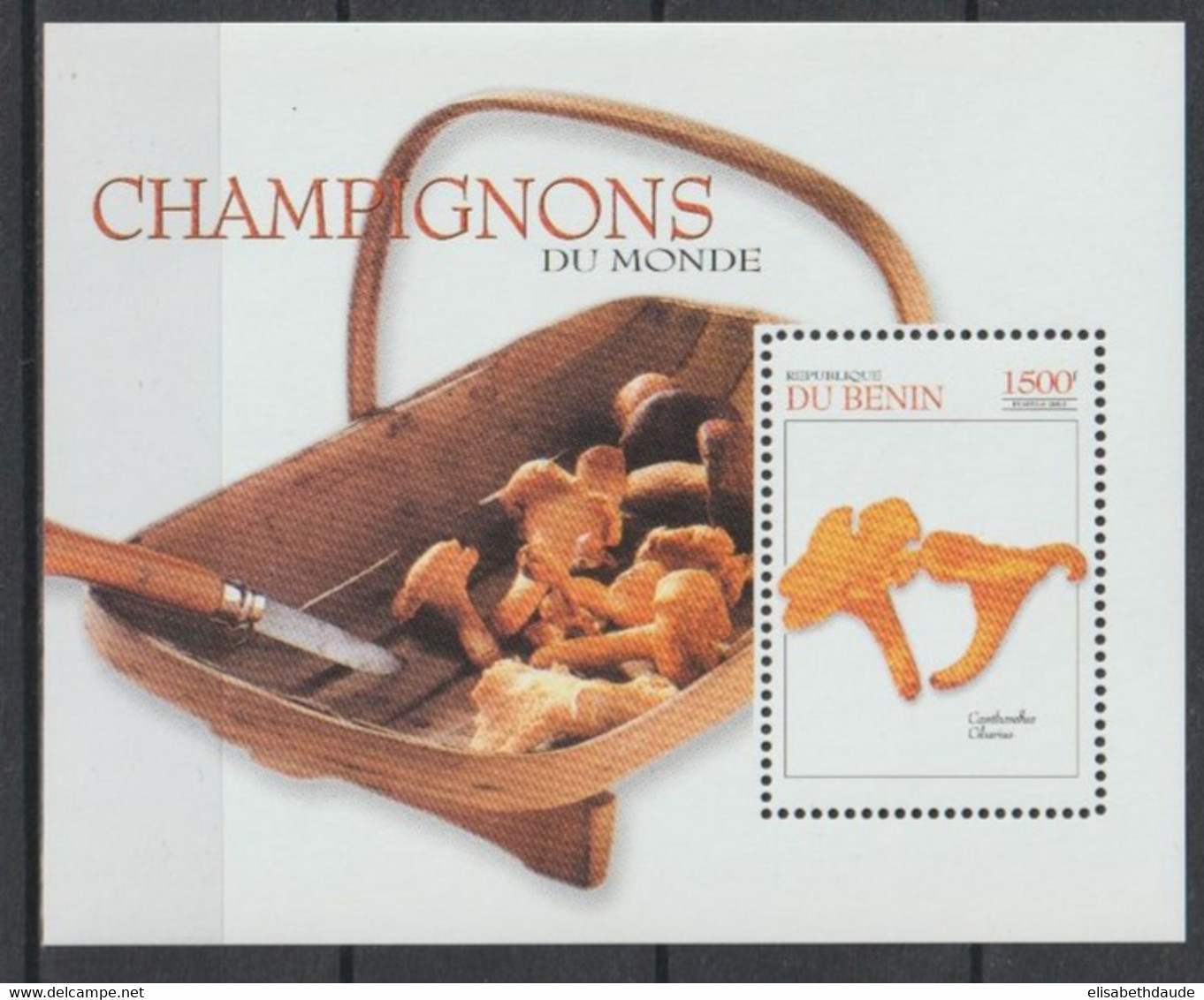 BENIN - 2003 - CHAMPIGNONS DU MONDE - BLOC ** MNH - Pilze