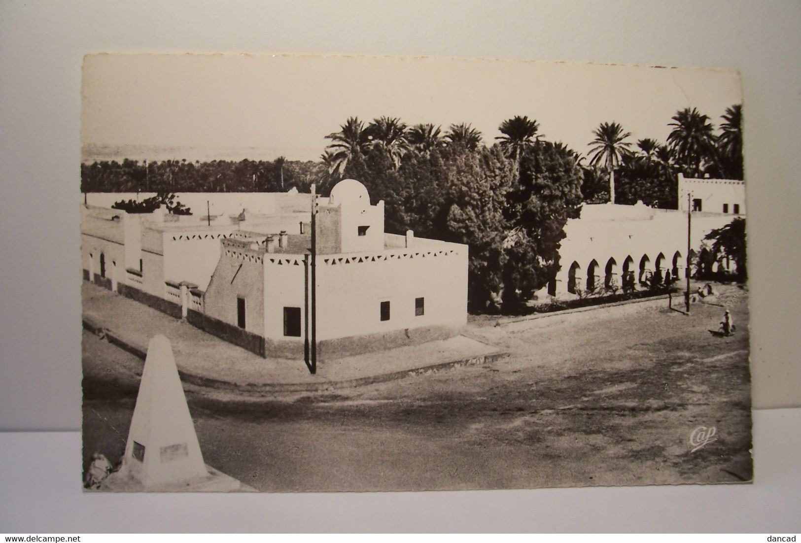 OUARGLA   -Vue Sur La Palmeraie -   ( Pas De Reflet Sur L'original ) - Ouargla