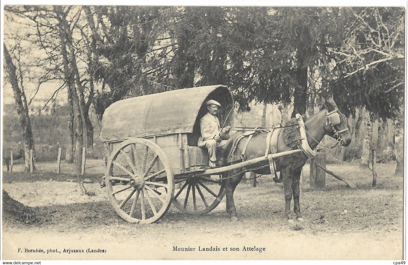 40   LANDES   MEUNIER  LANDAIS  ET  SON   ATTELAGE - Andere & Zonder Classificatie