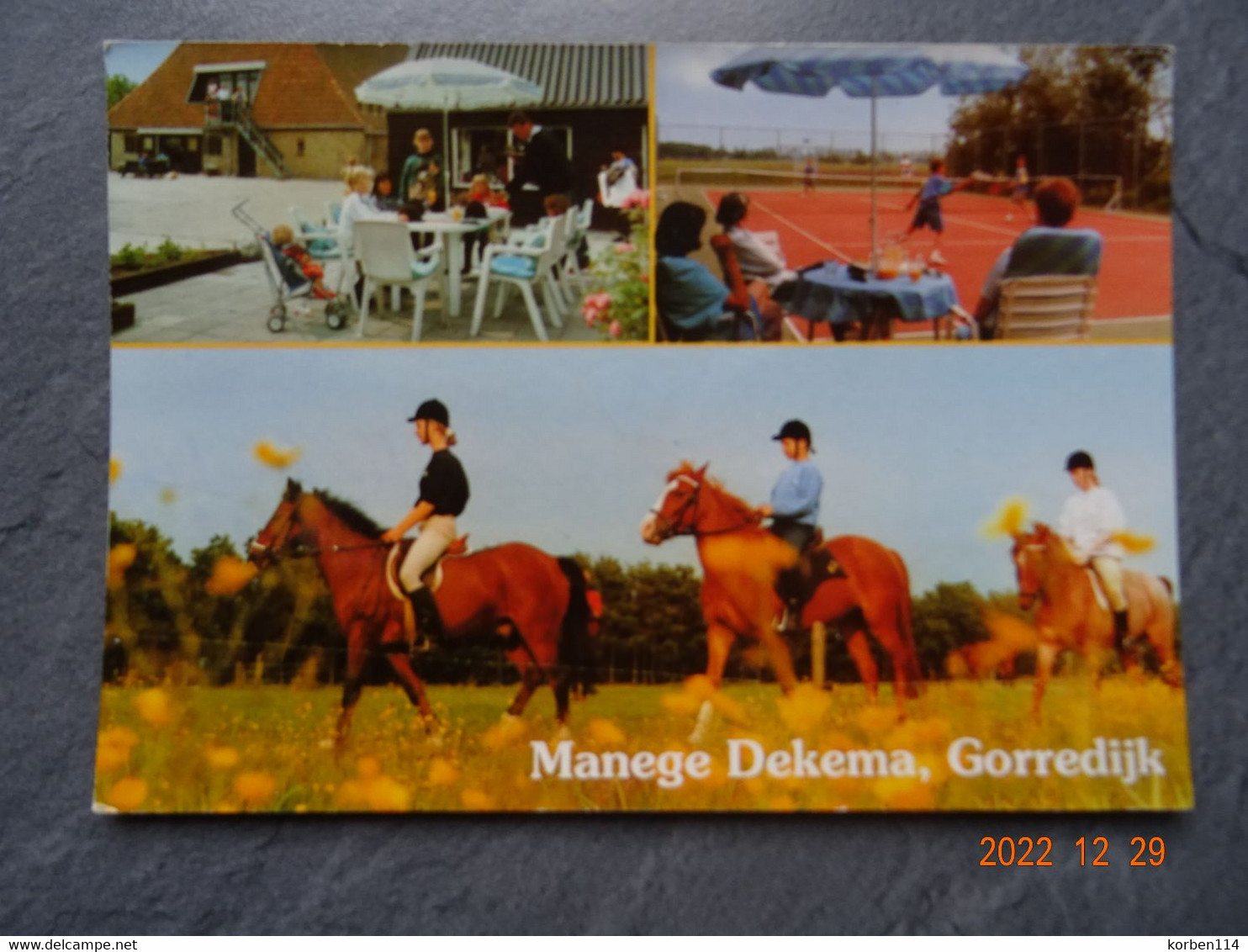 GORREDIJK   KAMPEERBOERDERIJ MANEGE  "  DEKEMA  " - Heerenveen