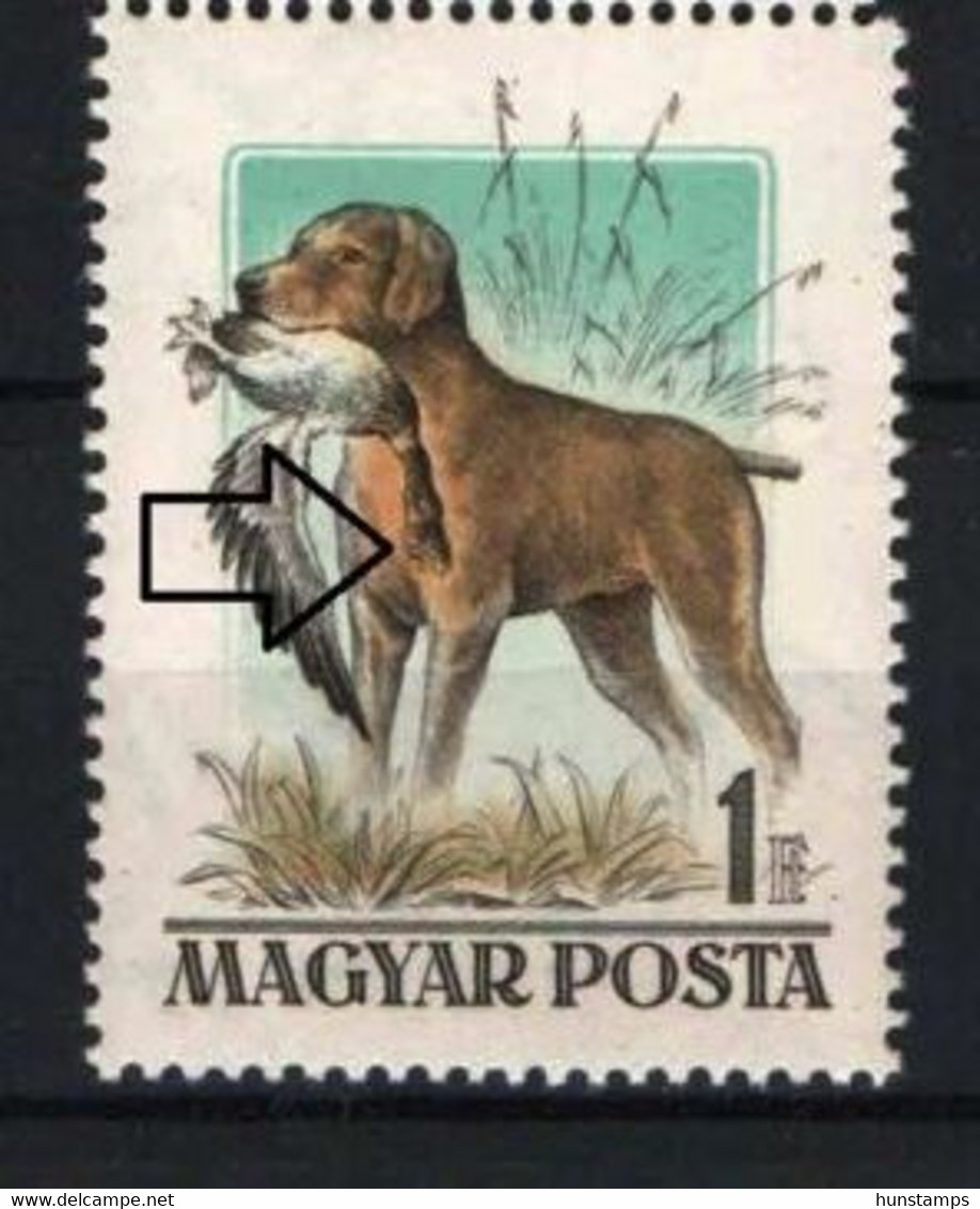 Hungary 1956. Animals / Dogs ERROR "ridged Duck" MNH (**) Michel: 1464 I. - Variedades Y Curiosidades