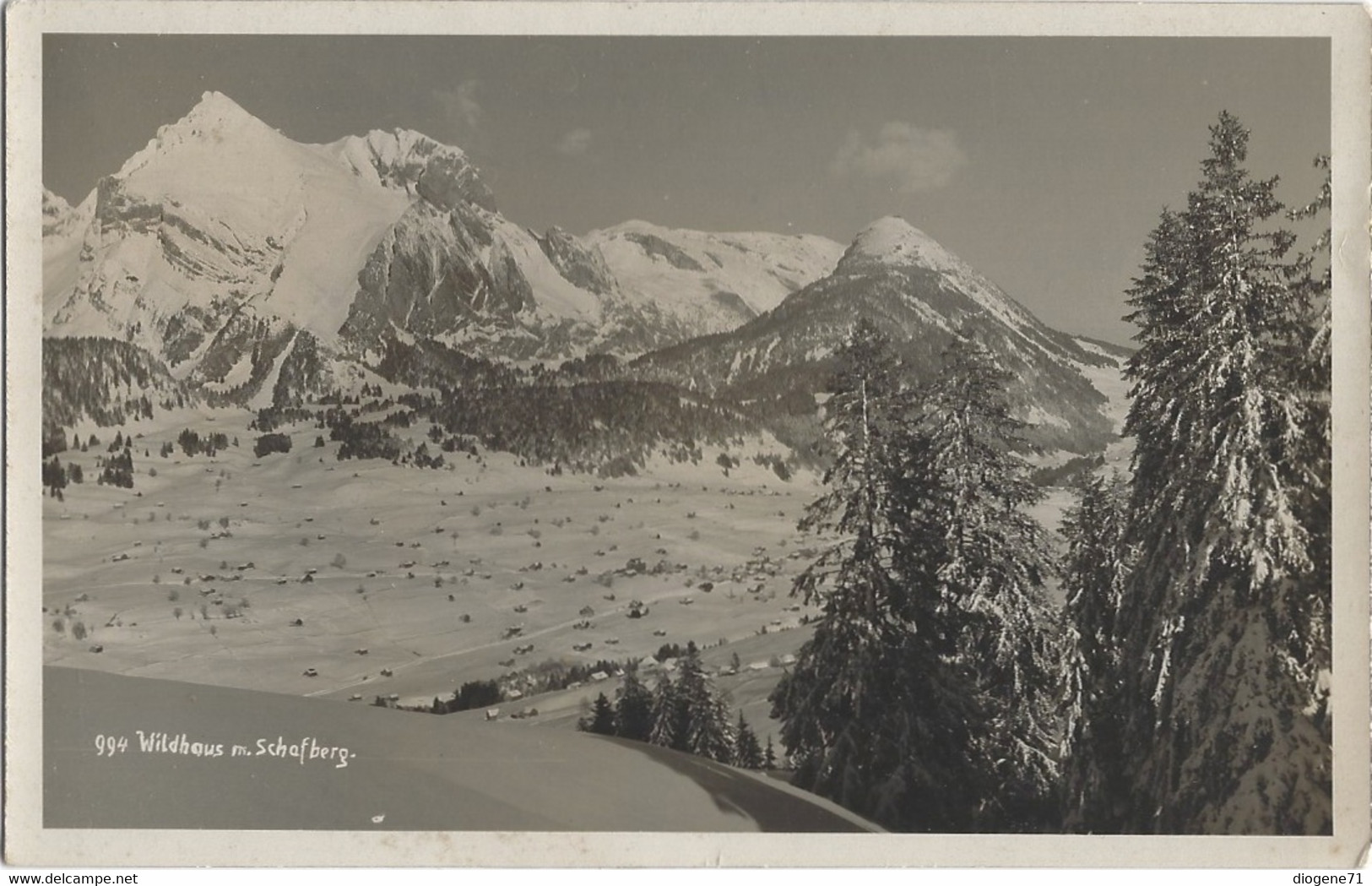 Wildhaus M. Schafberg 1939 - Berg