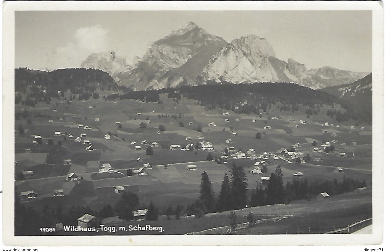 Wildhaus Togg. M. Schafberg 1937 - Berg