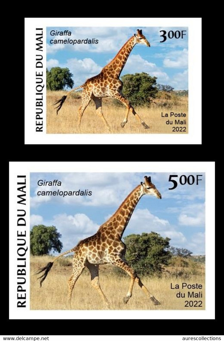 MALI 2022 IMPERF SET 2V - GIRAFE GIRAFES - CORONAVIRUS COVID COVID-19 CORONA VIRUS PANDEMIC - MNH - Giraffes