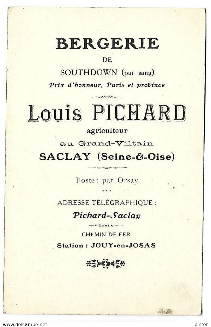 SACLAY - Louis PICHARD Agriculteur Au Grand-Viltain - Bergerie De Southdown - Bélier Agé De 24 Mois - Saclay
