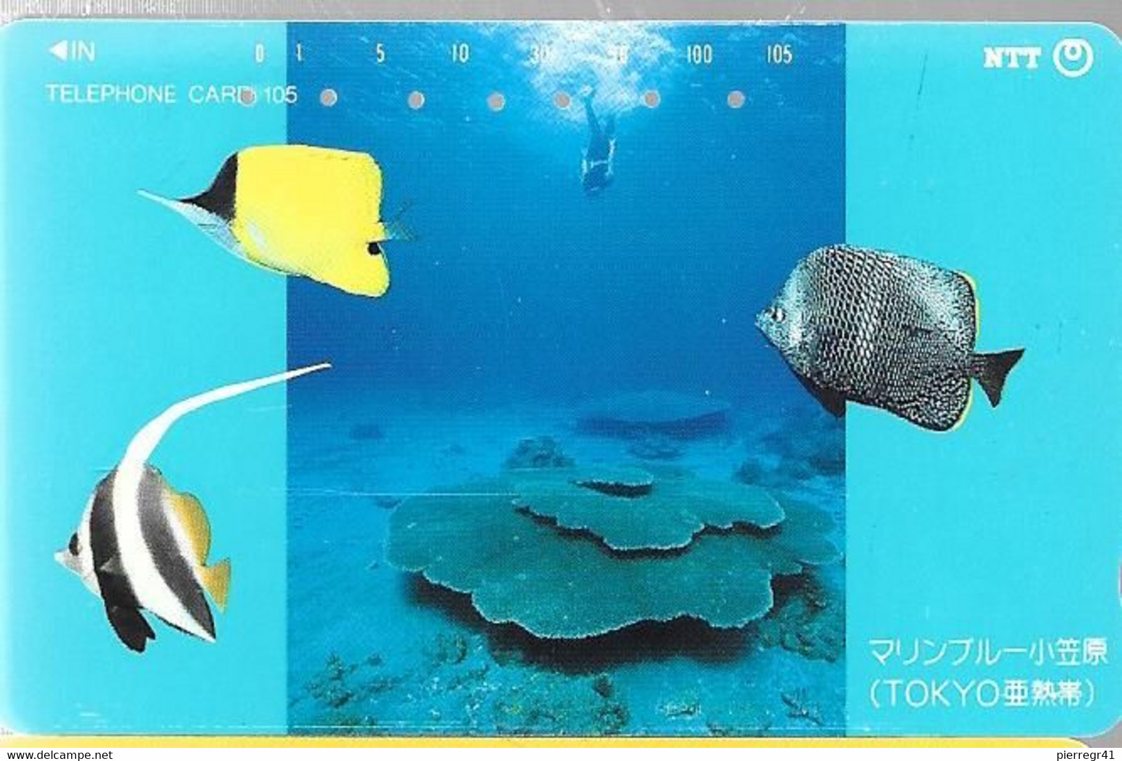 CARTE-MAGNETIQUE-JAPON-105-1988-POISSONS De CORAIL/ REEF-TBE- - Vissen