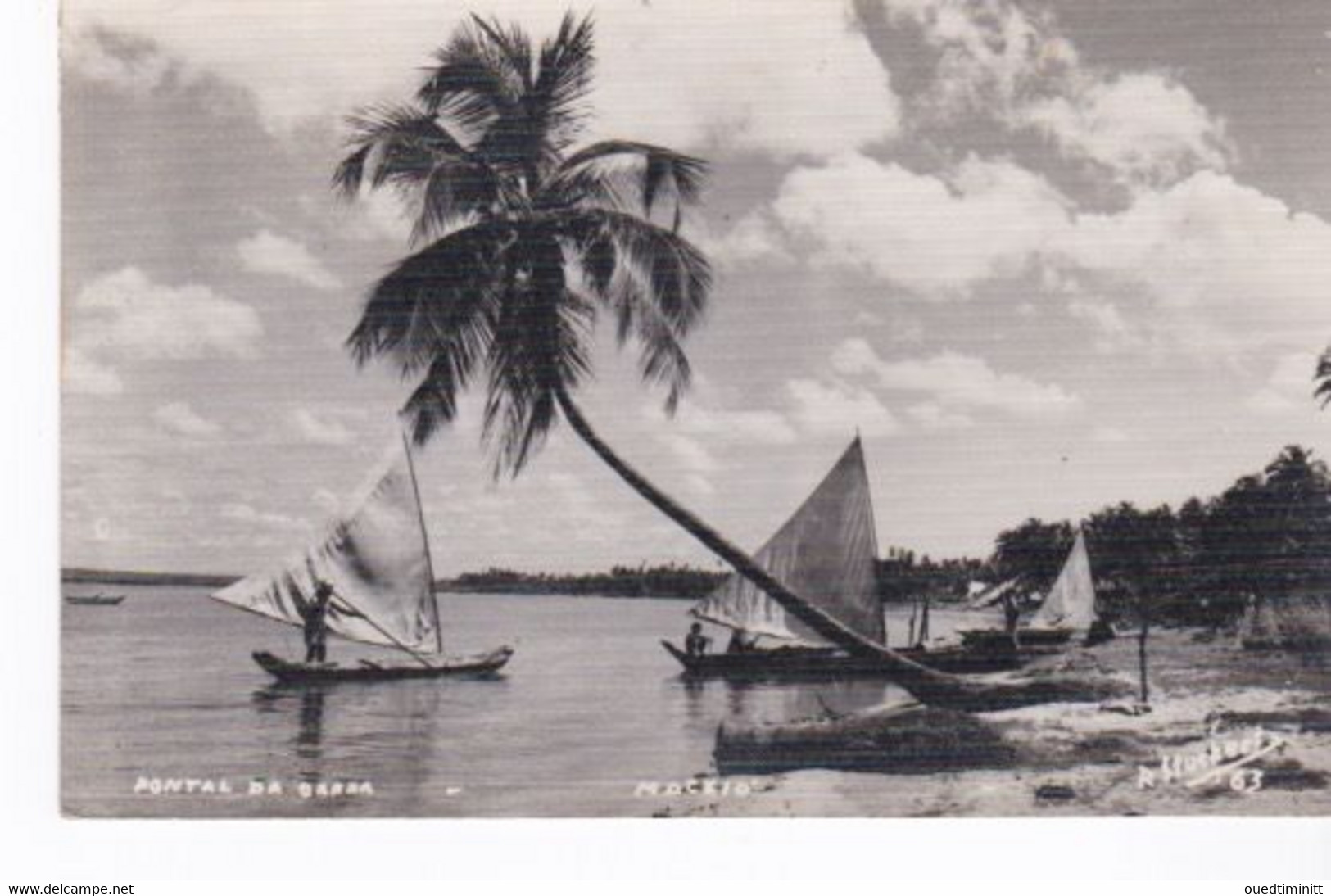 Brésil Maceio Pontal Da Barra Pirogues Voiliers ? - Maceió